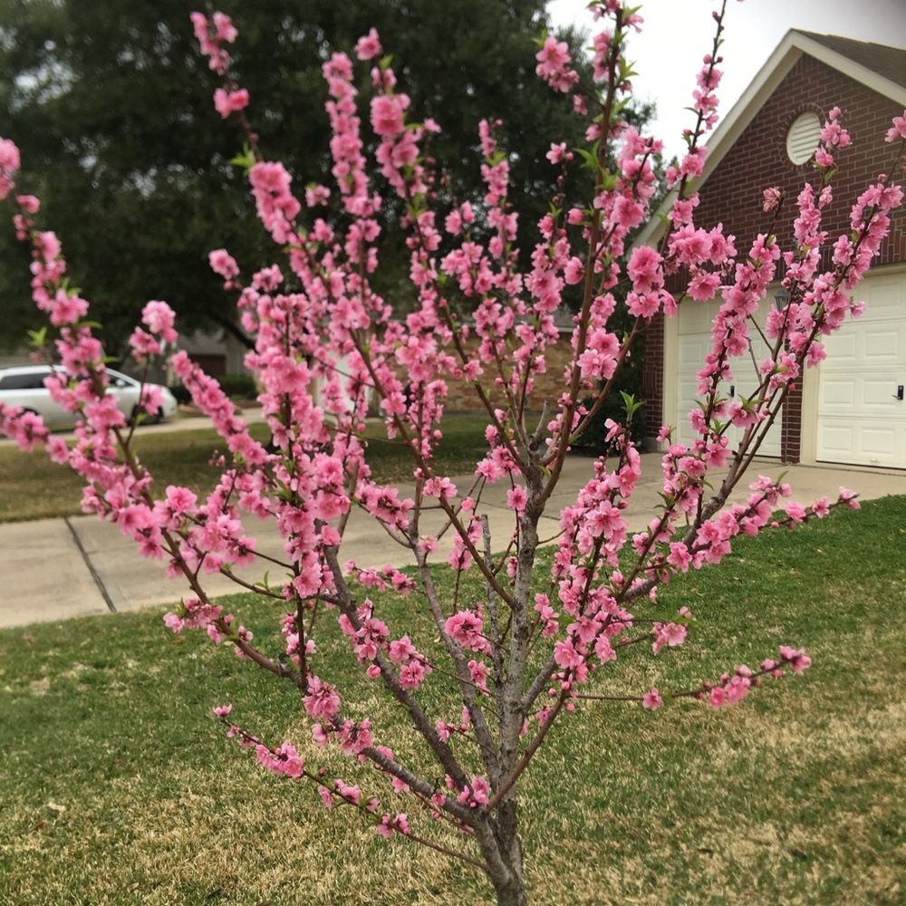 Vacation is relaxing;)